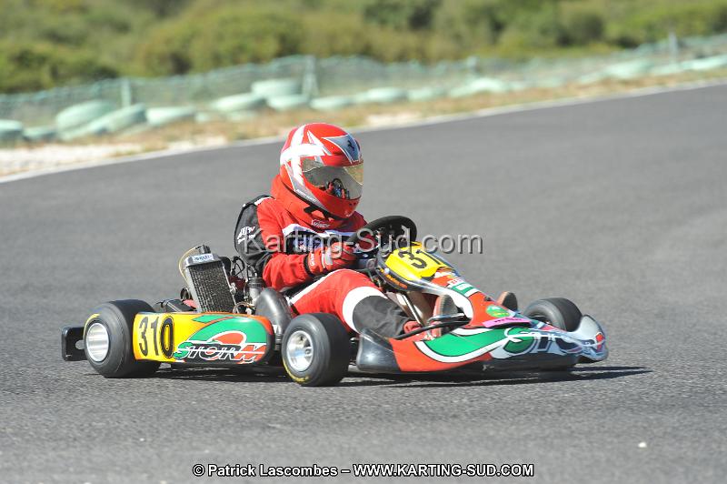 DSC (2738).JPG